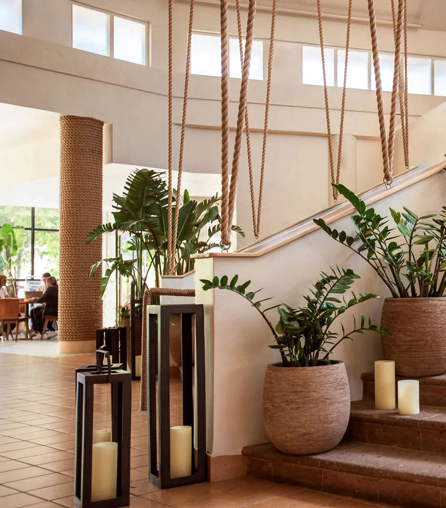 Live tropical plants in planters at the base of the stairs in the Wyndam Las Palmas del Mar lobby.
